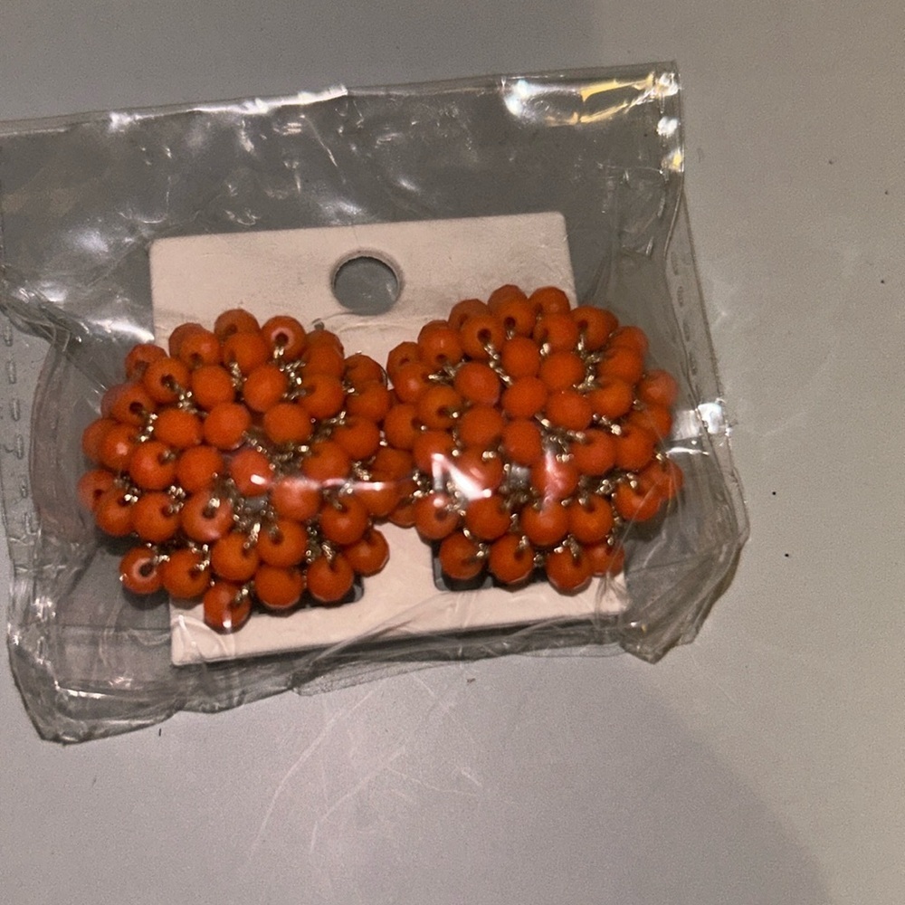 NIB clip fashion earrings